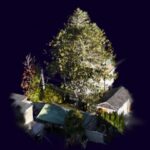 3d Model 1