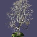 3d Model 3