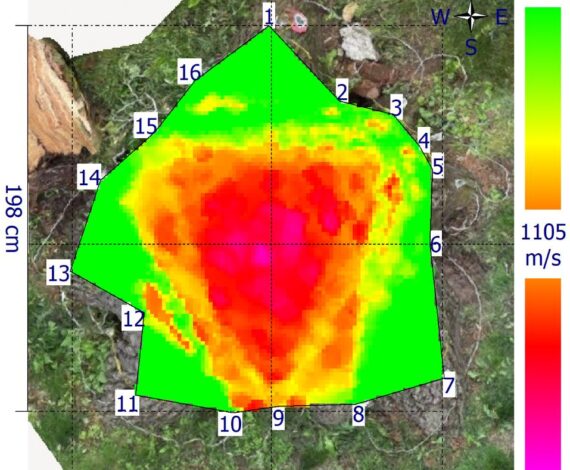 Sonic Tomography (1)